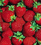 Клубники семян масло (нерафинированное) 100мл Клубники семян масло (нерафинированное) 100мл
