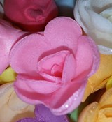 Роза вафельная