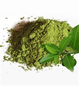 Зелёный чай, polyphenols 40%, экстракт 5г Зелёный чай, polyphenols 40%, экстракт 5г