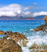 Морская свежесть отдушка косметическая 100мл