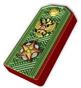 Погон маршала форма пластиковая