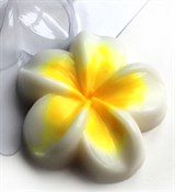 Плюмерия форма пластиковая