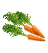 Моркови овощная пудра 5г