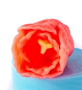 Тюльпан3 3D силиконовая форма